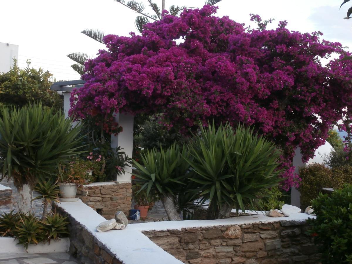 Galini Bungalows Kionia Dış mekan fotoğraf