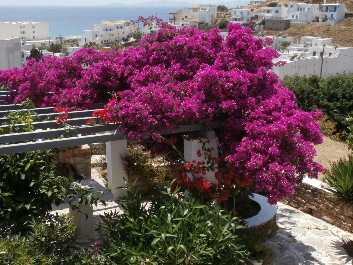 Galini Bungalows Kionia Dış mekan fotoğraf