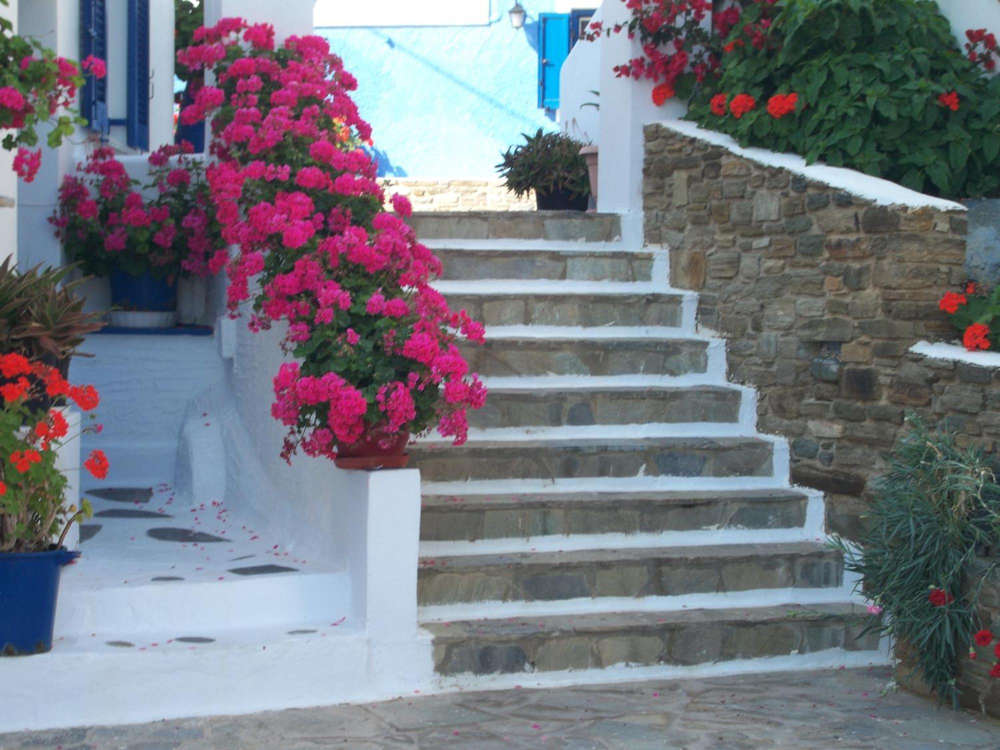 Galini Bungalows Kionia Oda fotoğraf